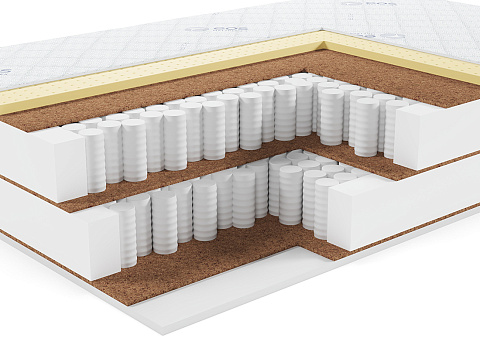 Премьер Тип 39 (Aloe vera)